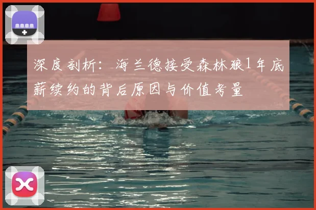 深度剖析:海兰德接受森林狼1年底薪续约的背后原因与价值考量