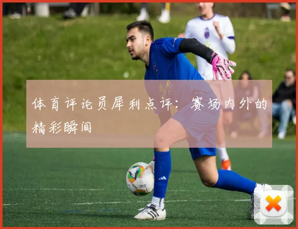 体育评论员犀利点评：赛场内外的精彩瞬间